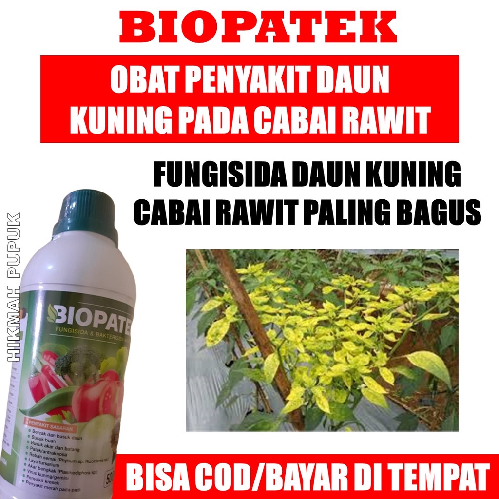 TERLARIS BIOPATEK isi 500 ML - Obat Cabe Rawit Daun Kuning Keriting dan Rontok Terbaik 500 ML - Pupu