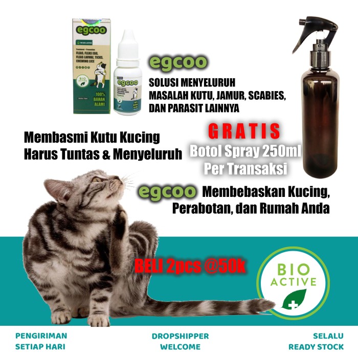 Obat Pembersih Kutu Kucing Alami Egcoo - 15ml