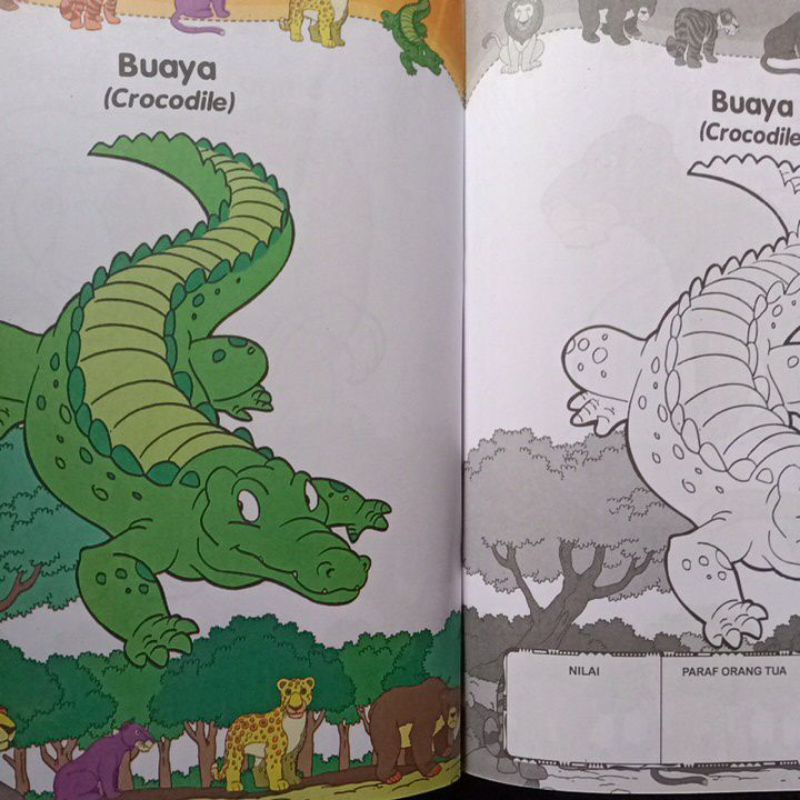 Buku Mewarnai Hewan Pemakan Daging Untuk Paud Tk