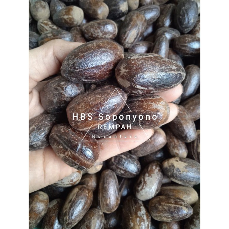 

Pala / Polo pilihan Kocak di kemas renteng, 50gr, 100gr, 250gr