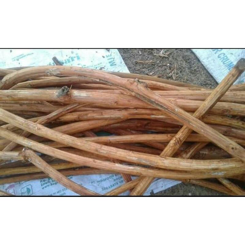 

akar bajakah kalimantan