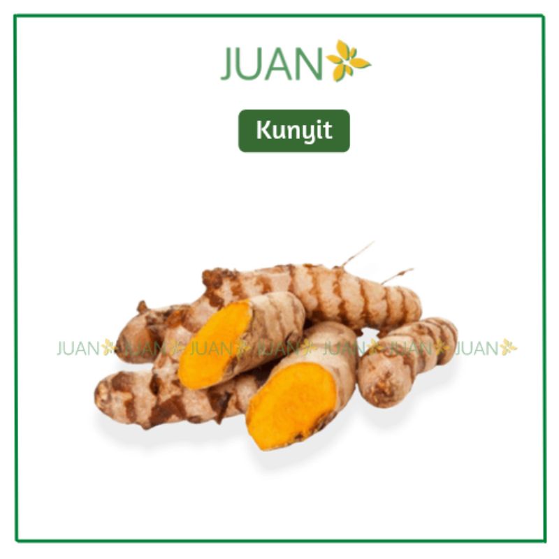 

Kunyit 250gr - Juan Fresmart