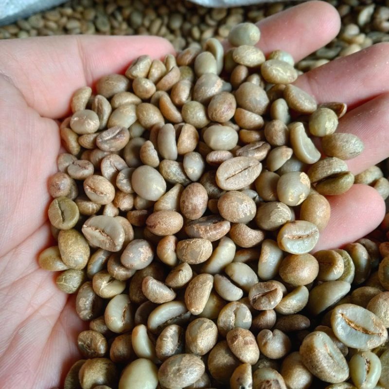 

GREEN BEAN FINE ROBUSTA