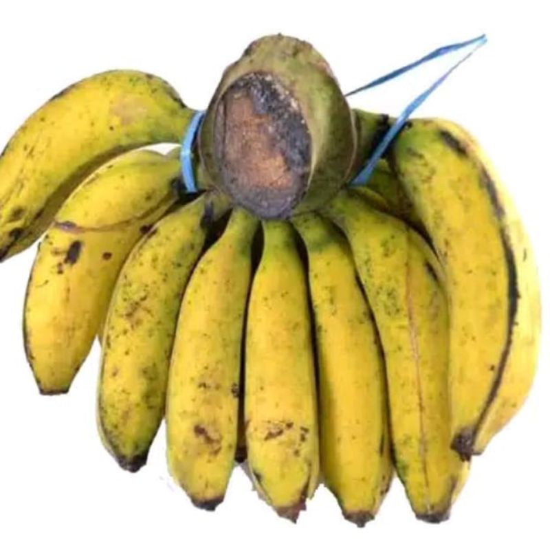 pisang raja bulu 1 sisir