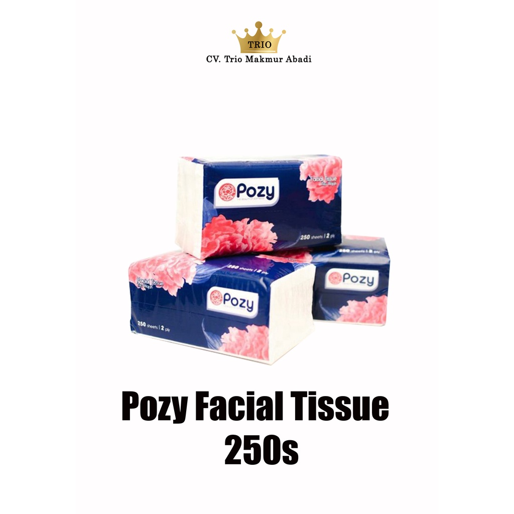Pozy Facial Tissue 250s