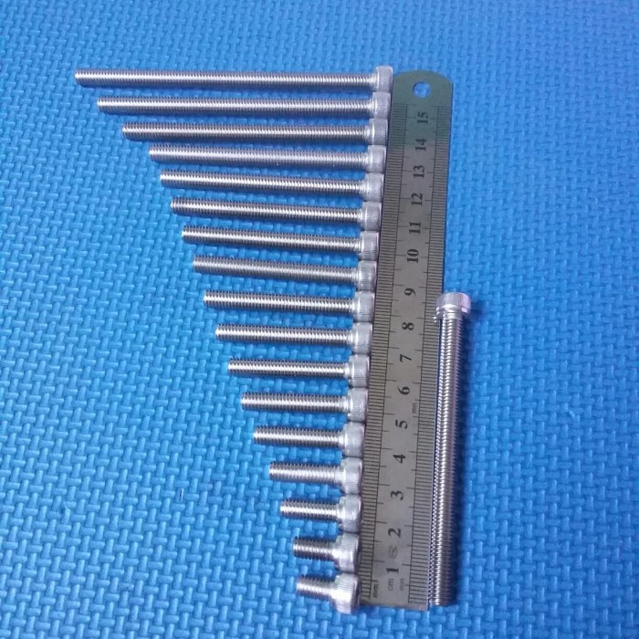 baut 10/6x80 stainless