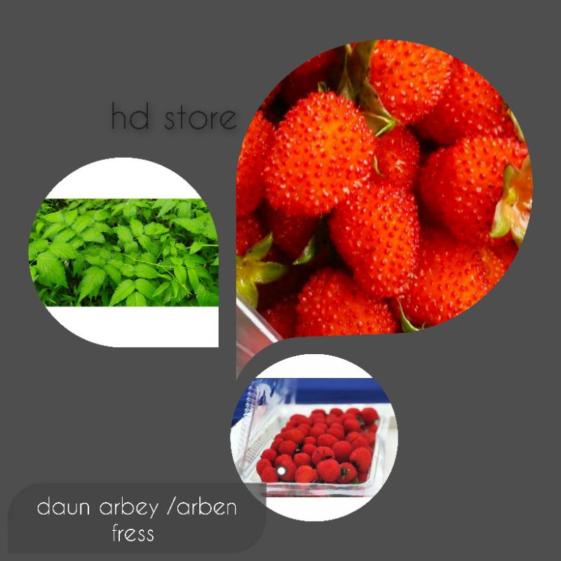 

daun herbal arbey/arben/raseberry paling murah fress