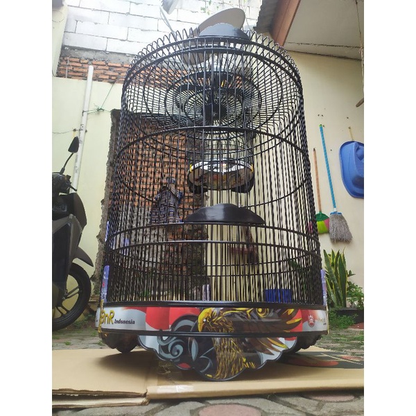 Sangkar murai BNR Garuda