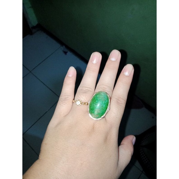 akik sisik kura kura