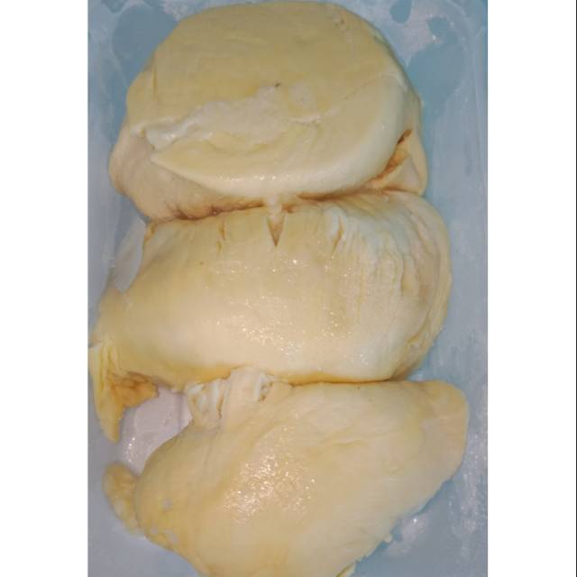 

Durian montong palu