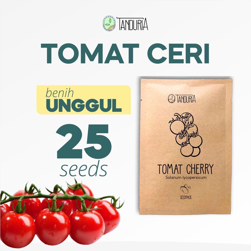 TOMAT CERI