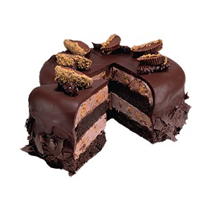 

Cold Stone Ice Cream Cake Round (diameter 22 cm) Peanut Butter Playground