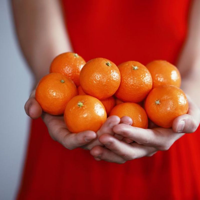 

Jeruk wokam mandarin 1 kg