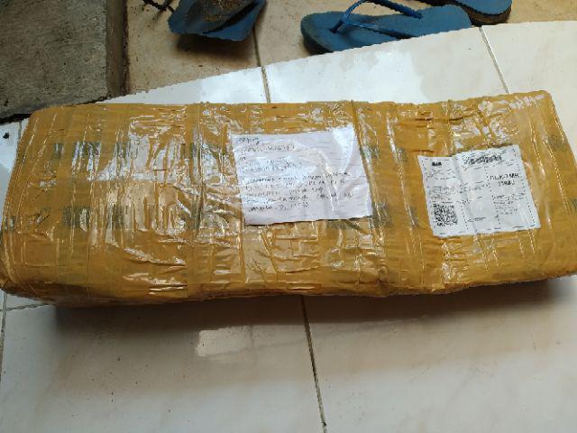 Tanaman Hias Spesial Paket Calathea - Kalatea Silverplat,gr.lipstik,ornata,makoyana