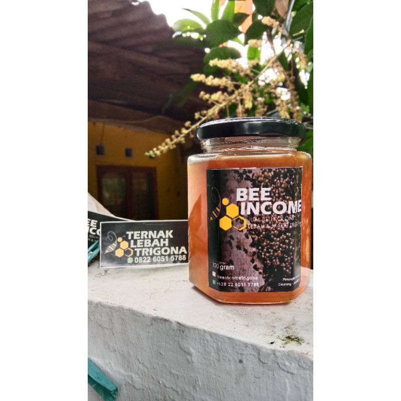 

MADU TRIGONA / KLANCENG 300 GR 100% MADU MURNI