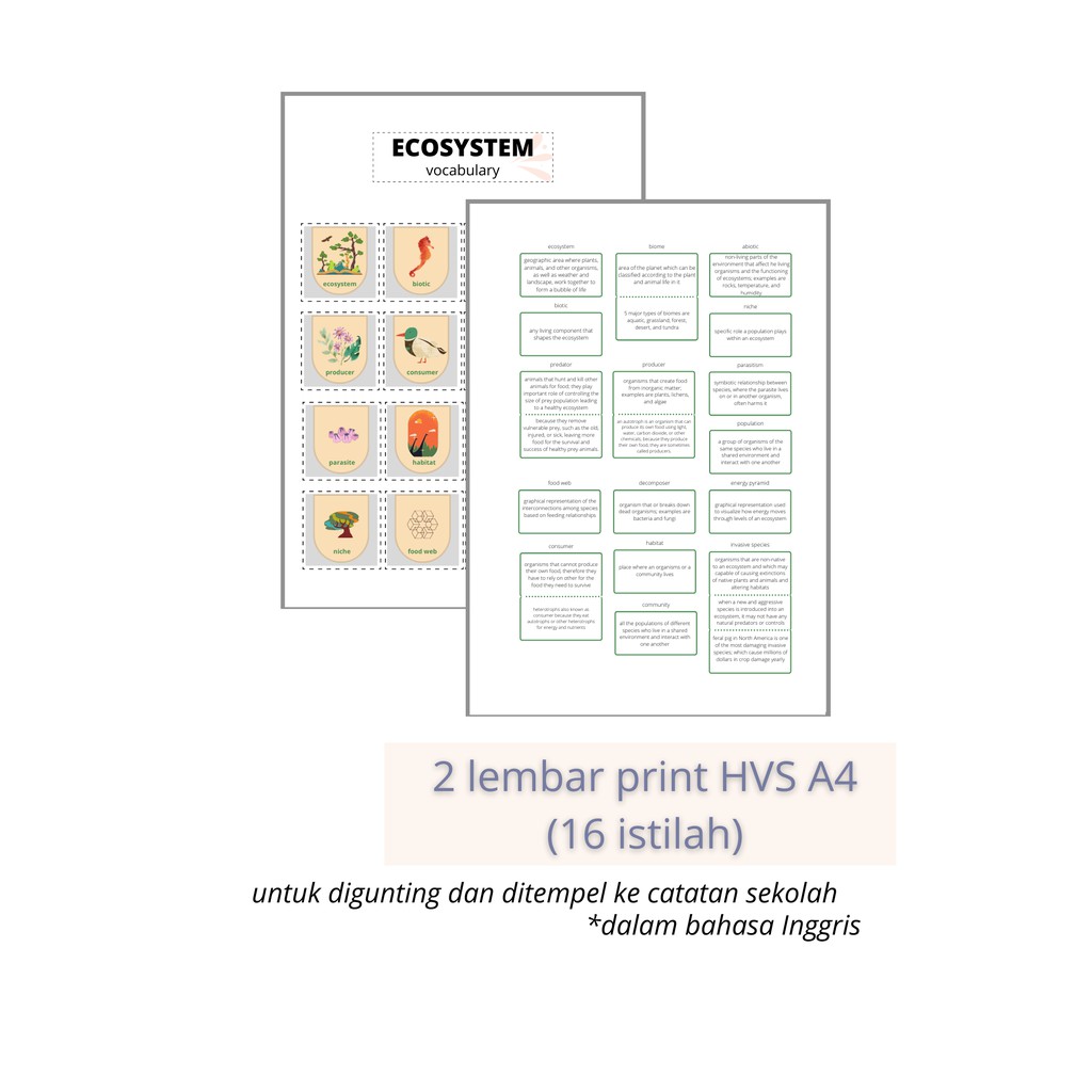 

Biology | Notebook Add On | Ecosystem untuk Ditempel ke Catatan Sekolah