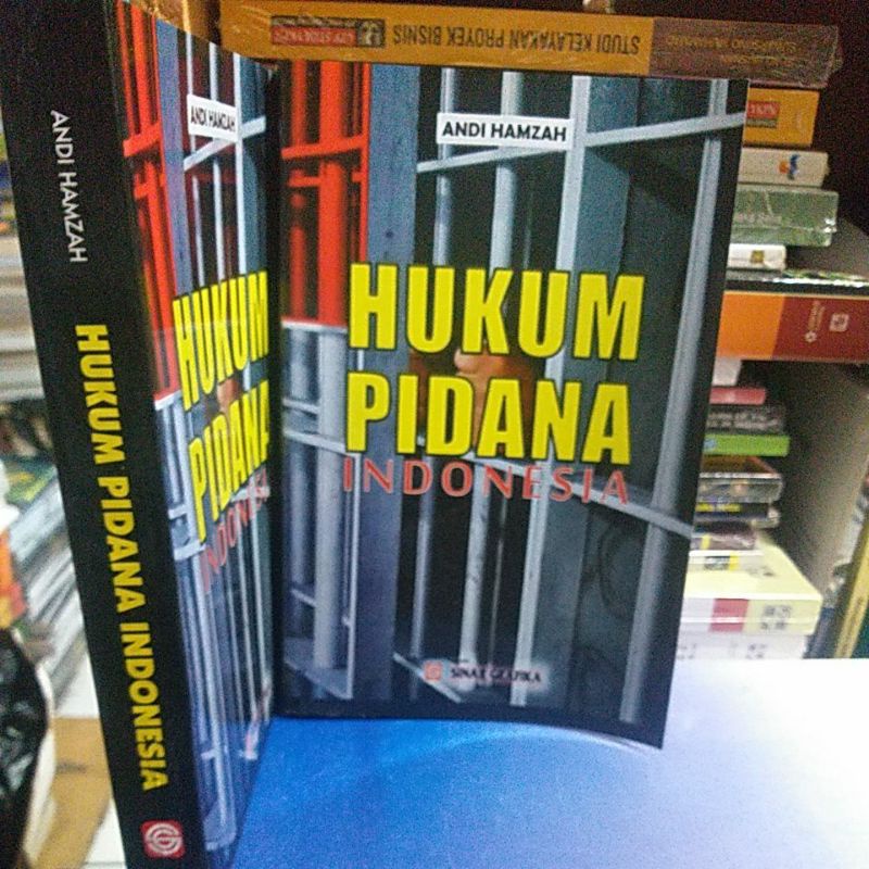 hukum pidana indonesia andi hamzah