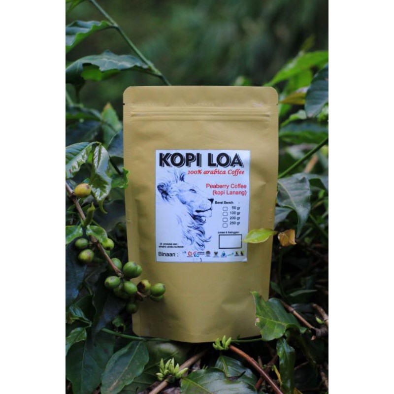 

kopi loa Lanang (roasbean) 100gr