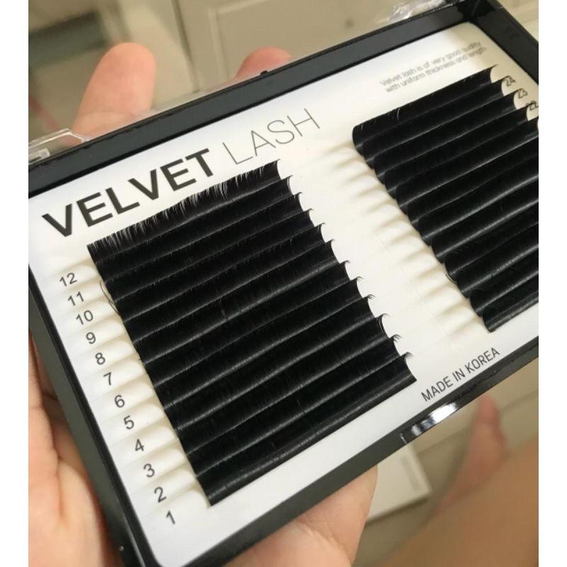 Bulumata Eyelash Lembut Blackberry Velvet Lash / Blackberry Velvet Lash for Eyelash Extension