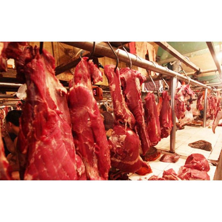 

Sapi - Daging Paha Depan Lokal