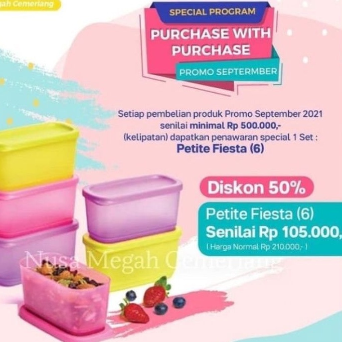 Petite Fiesta/Petite/Signature/Signature rectangular