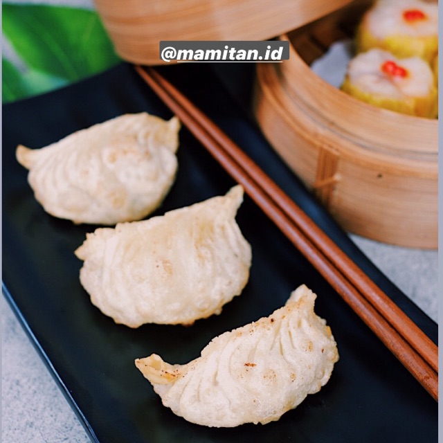 

FROZEN DIMSUM GYOZA AYAM