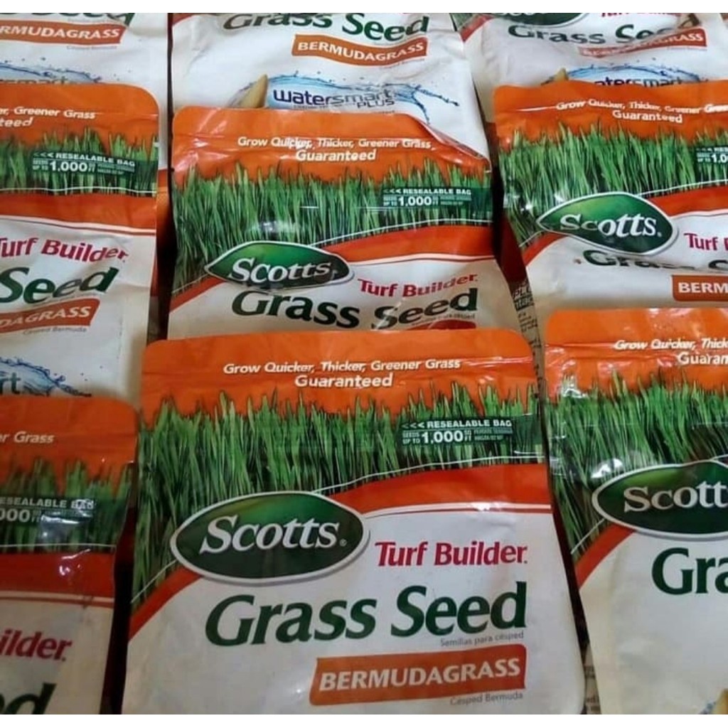 Grass Seed - Benih Rumput - Biji Rumput bermuda