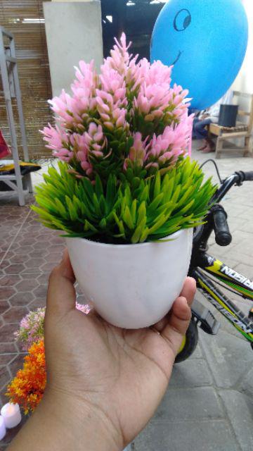 [1kg 11pcs] Pot Tanaman Vas Bunga Varian Pt01-pt04 Dekorasi Rumah Tanaman Plastik Hias Import