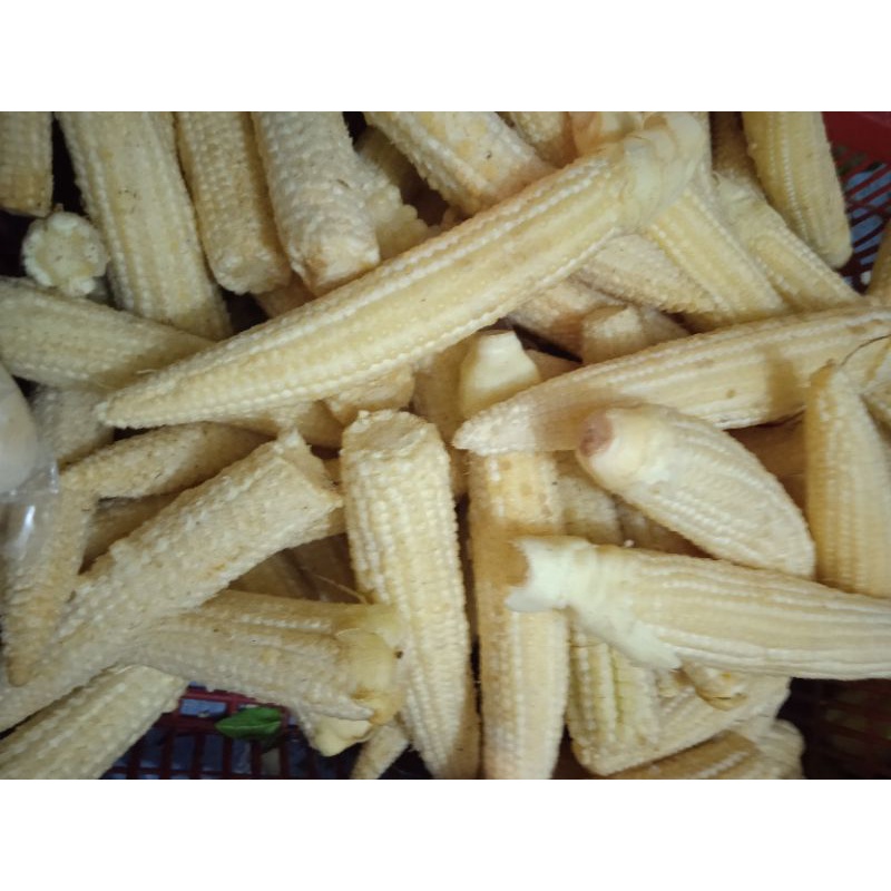 

Jagung semi/ babycorn 250 gram /sayur segar bandung