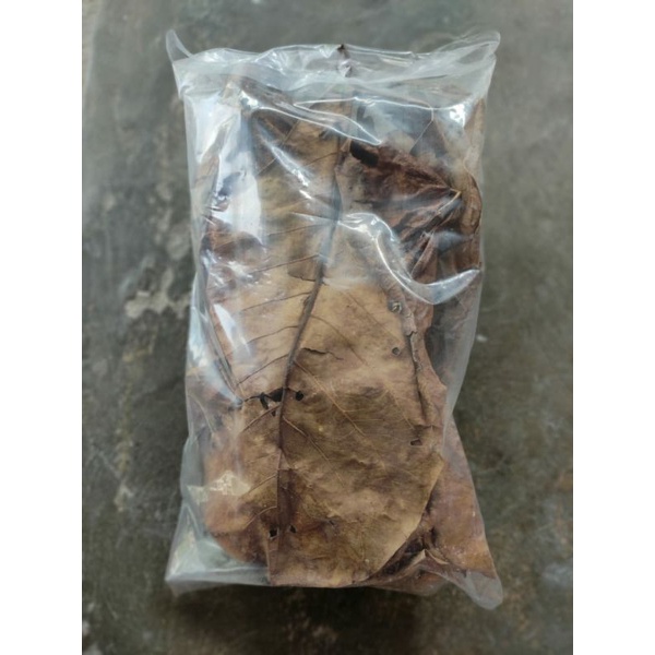 

Daun Ketapang qualitas 200g