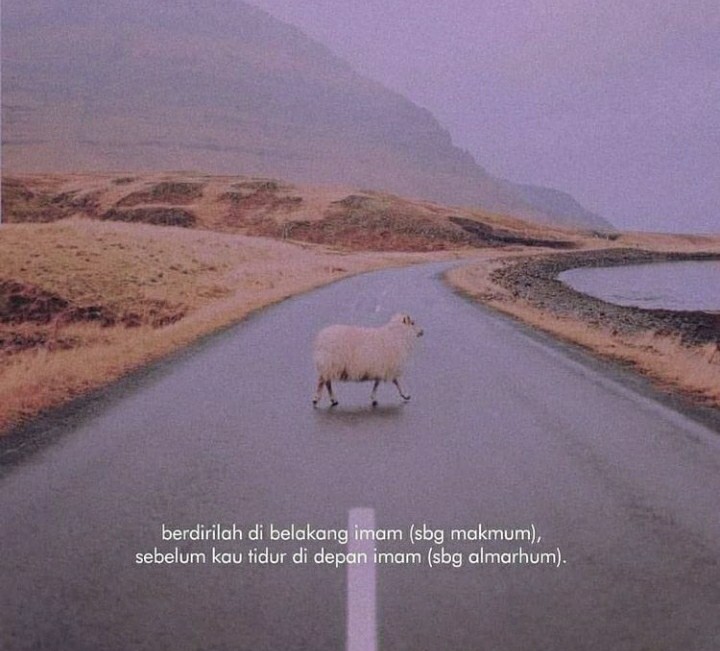 Kran Angsa Plastik Pvc New Soligen B3 Engkol (pipa Bawah)