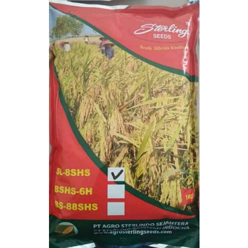 BENIH PADI HIBRIDA SL-8 SHS