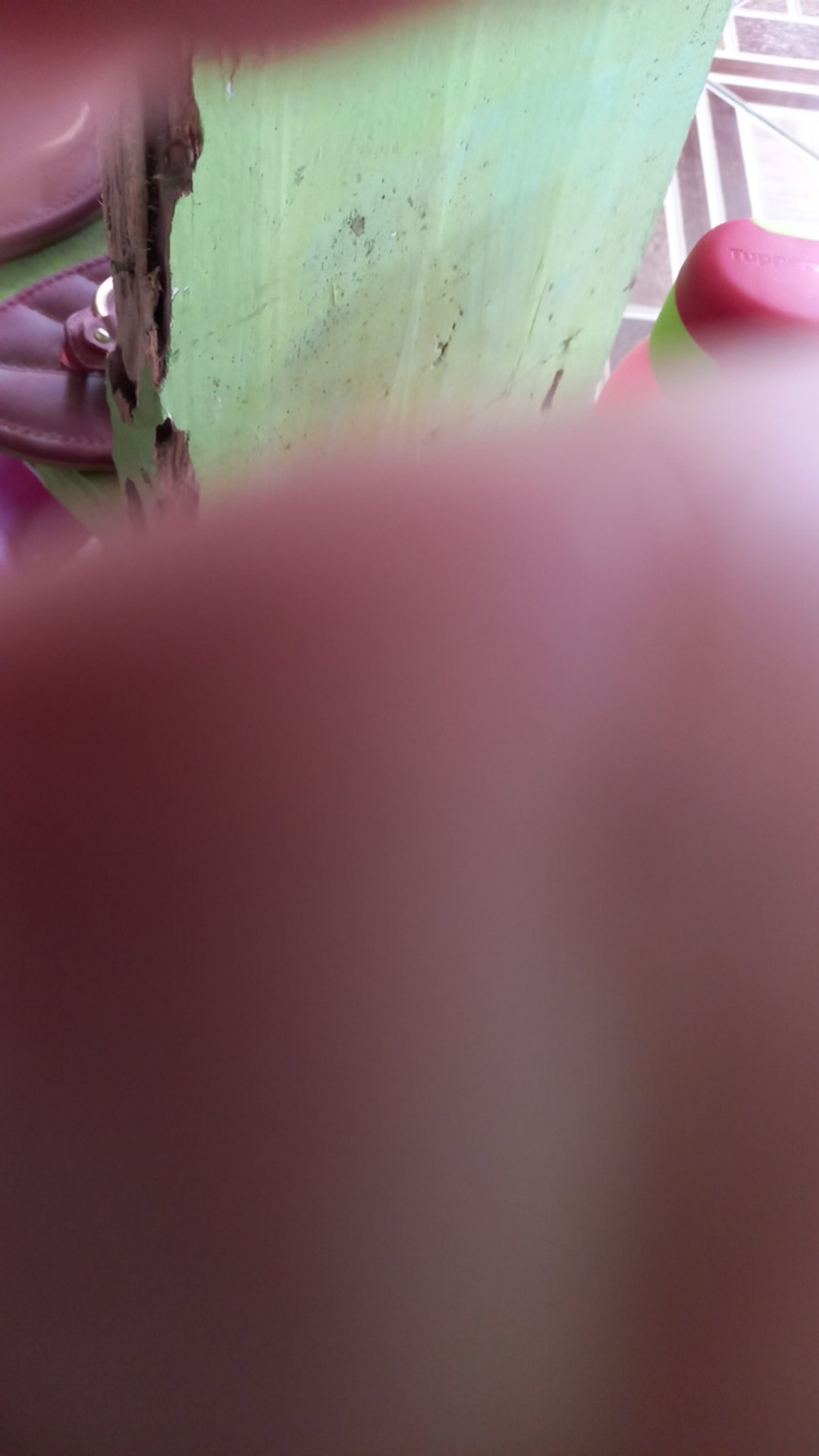 Cendrawasih Kasmaran Kemeja Batik Pria Lengan Panjang Premium Furing Hem Baju Seragam Kantor Modern