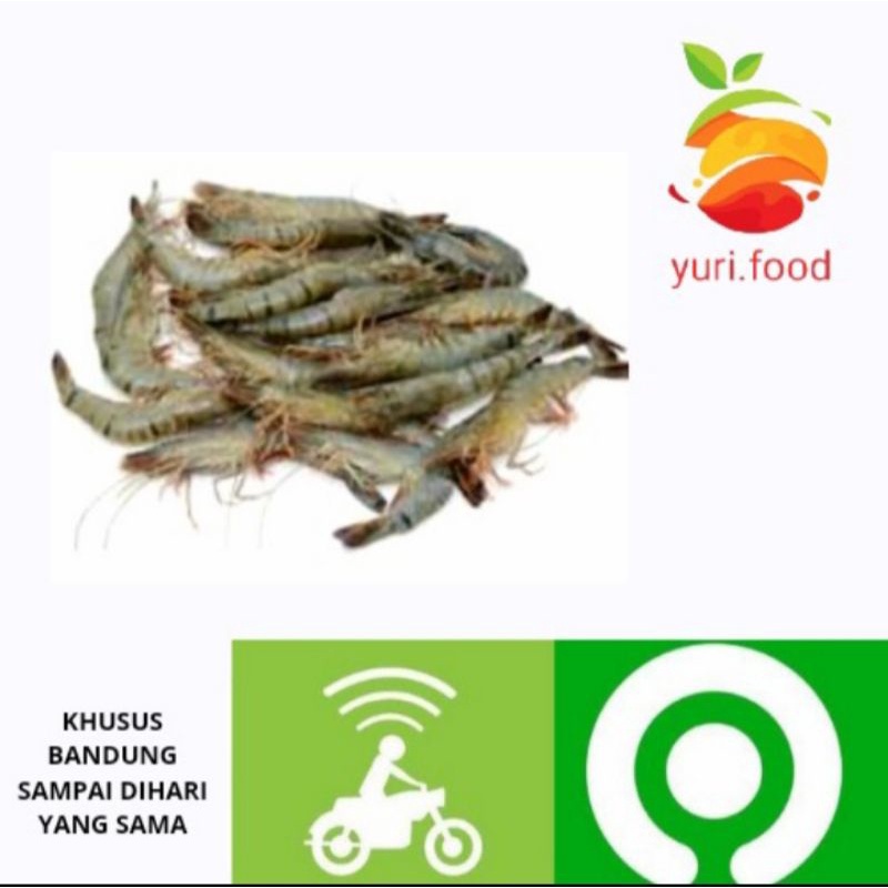 

Udang segar 250gram ukuran besar