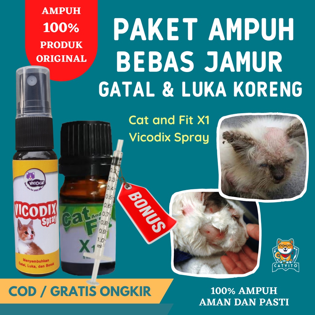 PAKET Obat Gatal Jamur Kucing Luka Borok Koreng Vicodix Cat and Fit X1 Akibat Jamur dan Luka Berkelahi Nanah Berdarah