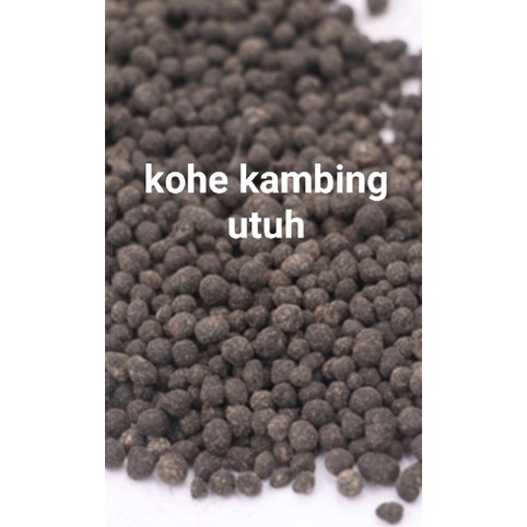 kohe kambing utuh bulatan murni