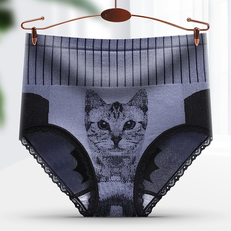 Celana Dalam Wanita Tinggi Renda CD Underwear Panties CAT Style CD40