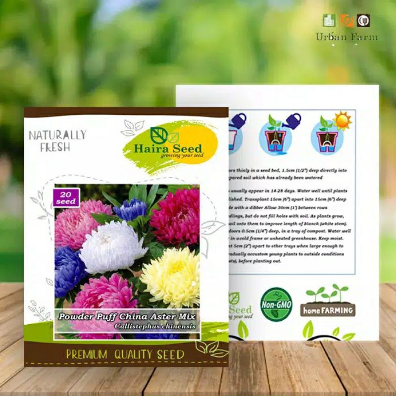 Benih Bunga Aster Powder Puff Mix