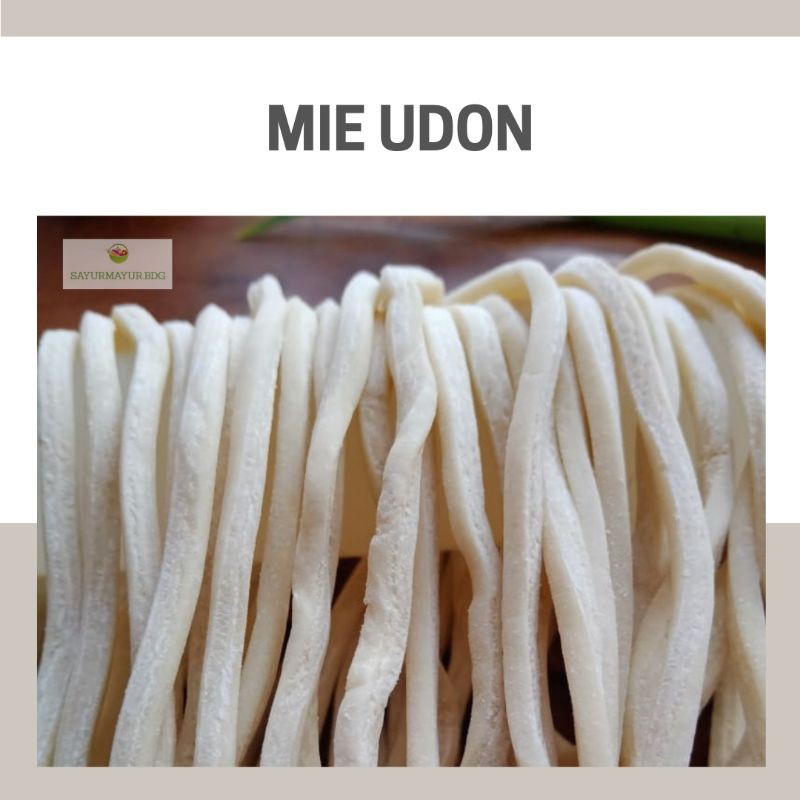

Mie Udon Halal Kemasan 1 Kg Supplier Mi Udon Bandung Mie Udon Mentah Halal