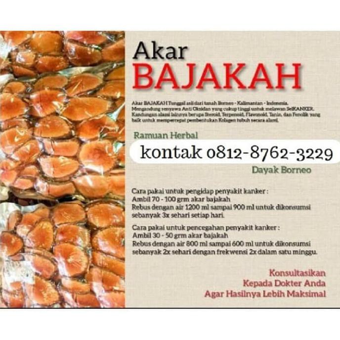 

AKAR BAJAKAH TUNGGAL 500gr asli kalimantan 100% JAMU KANKER TERPERCAYA