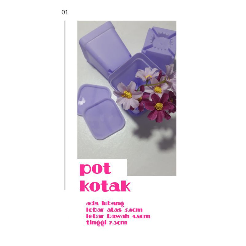 Pot kaktus kotak dengan tatakan