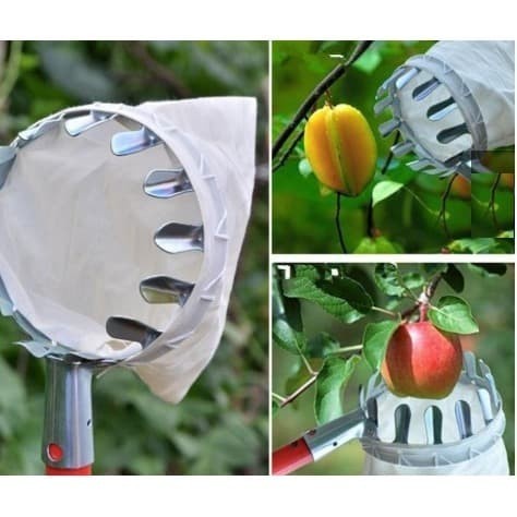 Alat Pemetik Buah - Metal Fruit Picker Bantu Petik Pengambil Buah