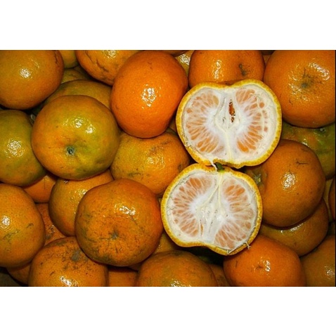 

[ PER 1000 GRAM ] BUAH JERUK BRASTAGI ,JERUK MANIS