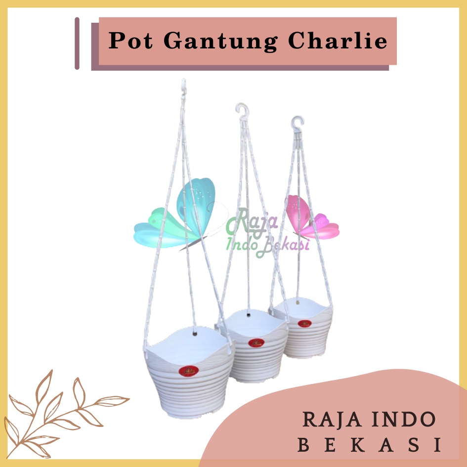 Pot Bunga Gantung Alexish 116 Baby Charlie 20 Putih Mirip Pot Gantung Gentong Lovenia Pot Gantung Putih Anggrek Murah Unik Tinggi Lion star