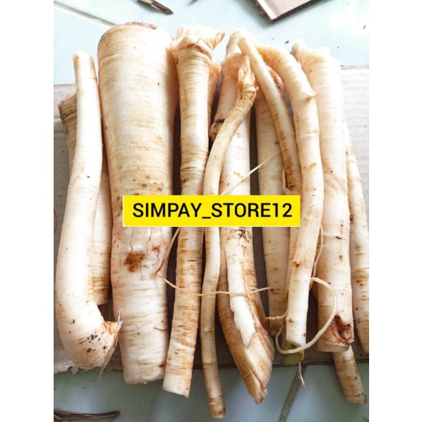 

Akar pepaya jantan free 1kg