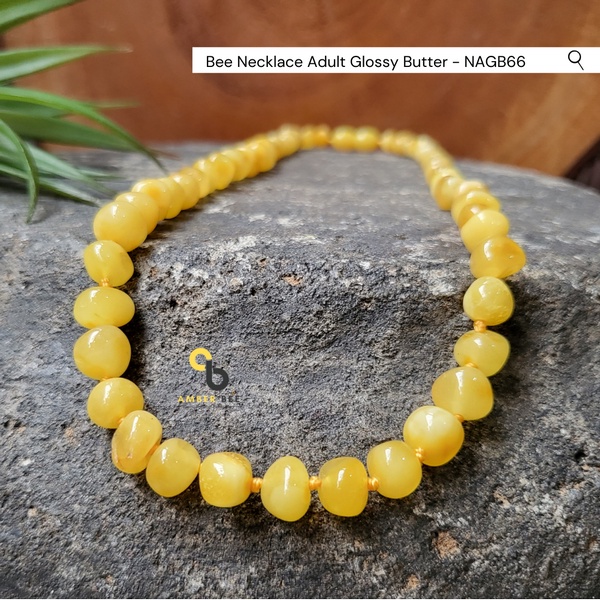 Kalung Amber Dewasa Premium Glossy Butter by Amber Bee NAGB66