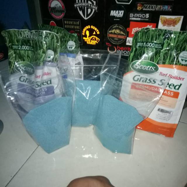 Benih biji rumput bermuda grass seed- bini rumput bermuda