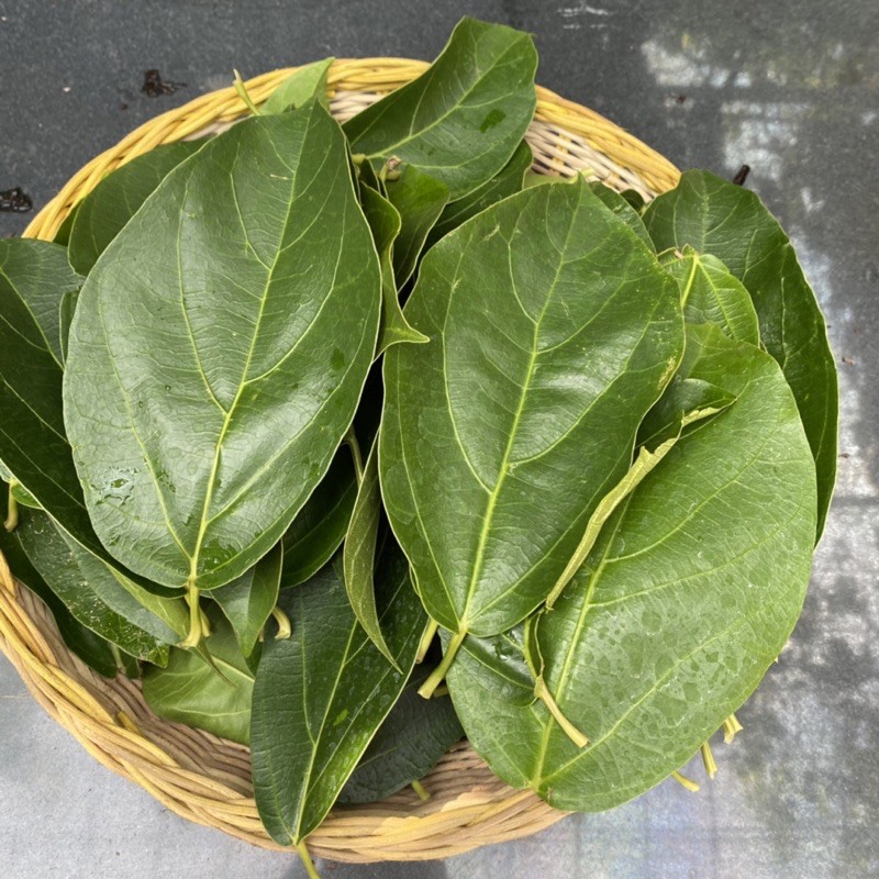 

1Kg daun cincau