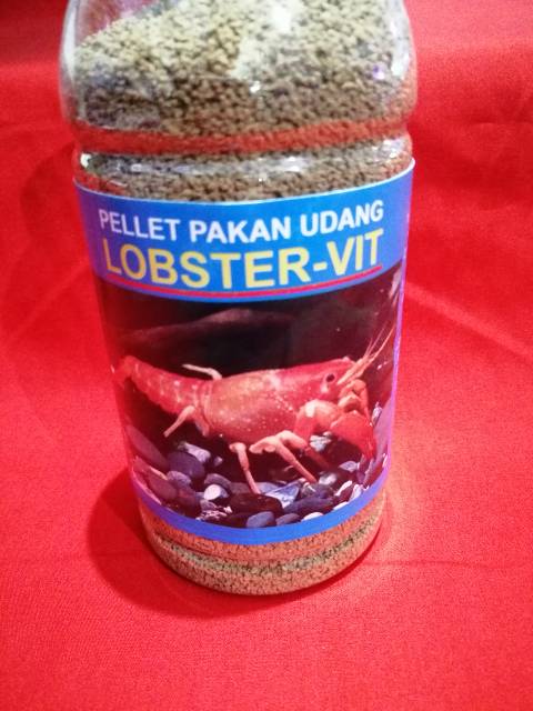 Makanan udang lobster LOBSTER VIT