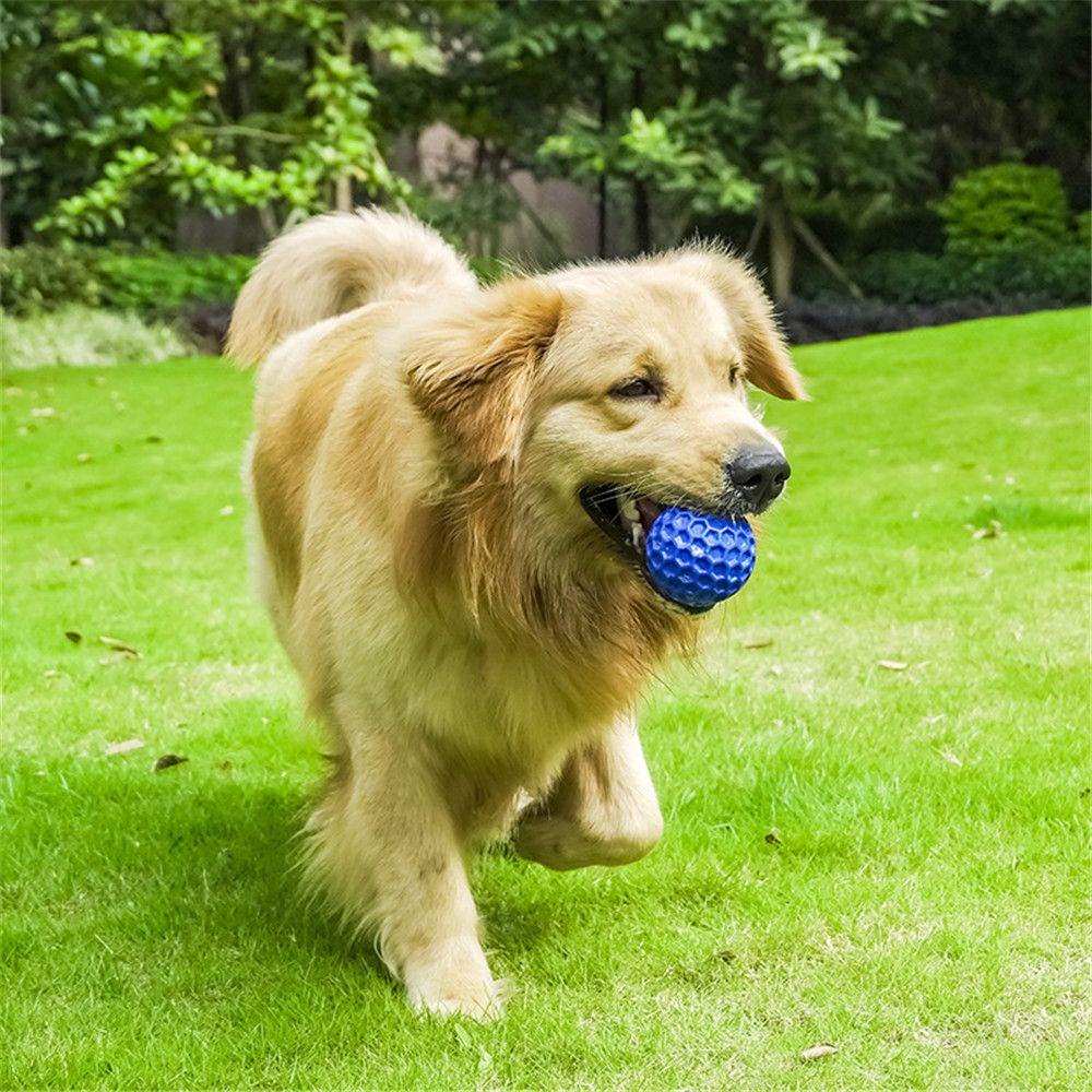 Solighter Dog Toothbrush Ball Tahan Lama Gigitan Molar Pembersih Gigi Mainan Kunyah Anjing